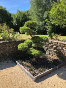 Aménagement paysager d'un jardin dans le Calvados